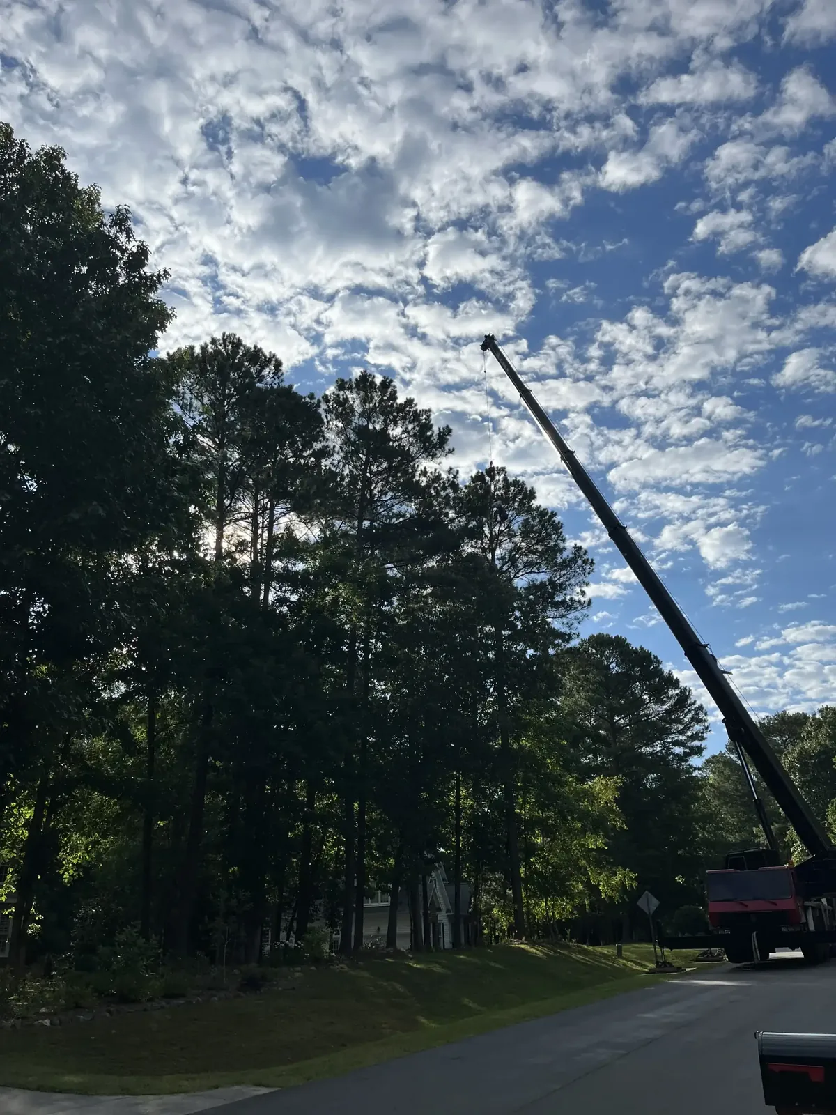 Home 3 Fonvilletreeservice crane extended above tall pine trees performing controlled tree removal in residential NC neighborhood