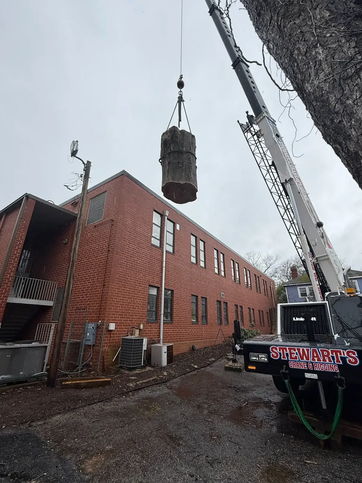 Home 15 Fonvilletreeservice crane operator lifting large tree trunk section near brick commercial building in NC