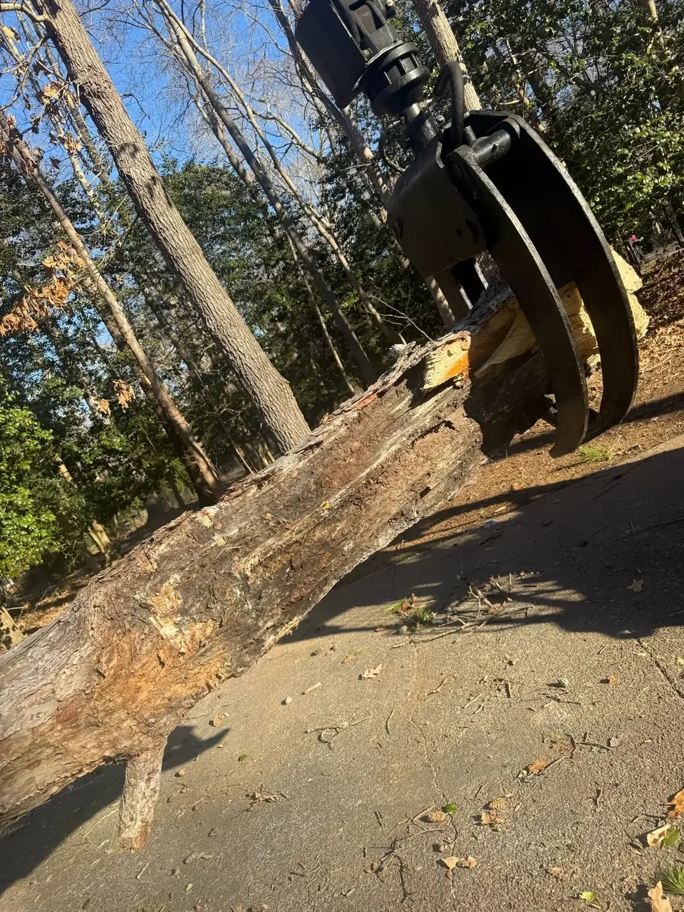 Home 9 Fonvilletreeservice hydraulic grapple attachment gripping and lifting large cut tree trunk from driveway in wooded NC property.